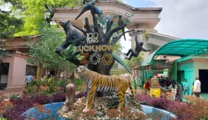 उत्तर प्रदेश में बर्ड फ्लू को लेकर सतर्कता
