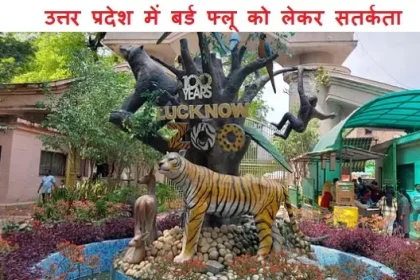 उत्तर प्रदेश में बर्ड फ्लू को लेकर सतर्कता
